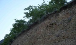 Gümüşhane'de vatandaşların tapulu arazileri toprak kaymaları nedeniyle her geçen gün küçülüyor