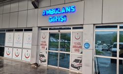 Ihlamur ağacından düşen kadın yaralandı