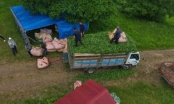 Karadeniz insanı yine zekasını konuşturdu, zor işi kolaylaştırdı