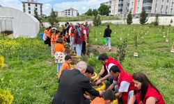 Öğrenciler yetiştirdikleri fideleri toprakla buluşturdu