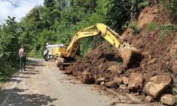 Ordu'da heyelan nedeniyle ulaşıma kapanan 236 mahalle yolu açıldı