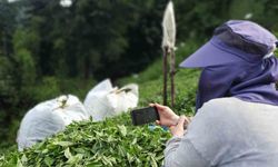 Rize'de çay bahçesinde milli maç heyecanı
