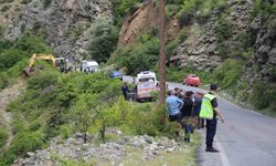 Şavşat Deresi'ne uçan kamyonet çıkarıldı, kayıp baba ve oğul aranıyor