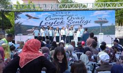 Sinop'ta Leylek Şenliği: Yavrular halkalandı