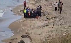 Trabzon'da baba ile oğlu boğulmaktan son anda kurtarıldı