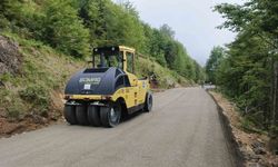 TRABZON'DA YAYLA YOLLARINDA YOĞUN MESAİ