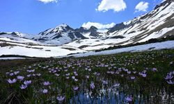 Yaz ortasında kışın hüküm sürdüğü eşsiz coğrafya: Artabel