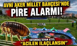 AVNİ AKER MİLLET BAHÇESİ'NDE PİRE ALARMI!