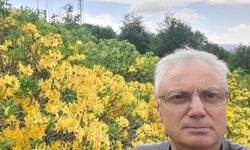 FINDIKTA VERİM VE KALİTE İÇİN ORTAK HAREKET ÇAĞRISI
