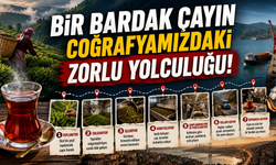 BİR BARDAK ÇAYIN COĞRAFYAMIZDAKİ ZORLU YOLCULUĞU!