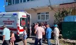 Alaplı'da 'pat-pat' kazası: 5 yaralı