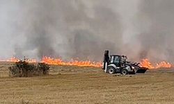 Çorum'da çıkan anız yangınında 2 bin dönüm alan küle döndü