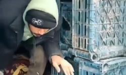 Düzce'de 1 düzensiz göçmen yakalandı