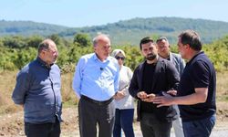 Düzce'de 400 milyon lira asfalta ayrıldı