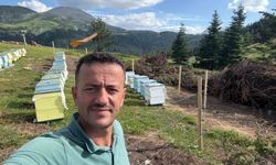 Koruma altındaki gelincik Ilgaz Dağı'nda görüntülendi