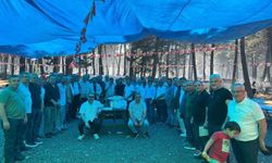 Köylüler geleneksel kır pikniğinde buluştu