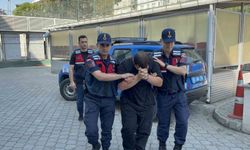 Odunluğa saklanan 4 bin 531 uyuşturucu hap ele geçirildi: 1 tutuklama