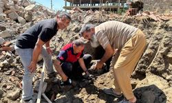 Yıkım halindeki binada mahsur kalan 8 yavru köpeği itfaiye kurtardı