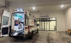 Yılan, bahçeye inen adamın ayağına saldırdı