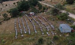 Arıcılıkta yapay zeka dönemi başladı