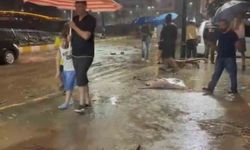 Giresun'da şiddetli yağışlar sonrası derelerin su seviyesi yükseldi