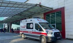 Mevsimlik işçi ırmakta boğuldu, kardeşinin durumu ağır