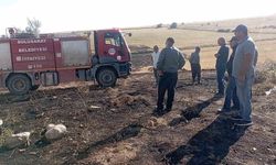 Ocaklıktan çıkan kıvılcımlar otluk alanda yangına neden oldu