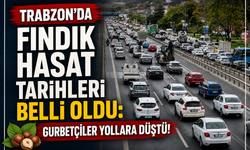 TRABZON'DA FINDIK HASAT TARİHLERİ BELLİ OLDU: GURBETÇİLER YOLLARA DÜŞTÜ!