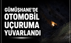 GÜMÜŞHANE'DE OTOMOBİL UÇURUMA YUVARLANDI