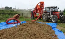 YOMRA BELEDİYESİ " KURALLARA UYMAYANA CEZAİ İŞLEM YAPILACAK!"