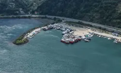 PALAMUTTA "O SENE BU SENE" OLACAK!