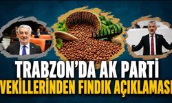 TRABZON'DA AK PARTİ VEKİLLERİNDEN FINDIK AÇIKLAMASI