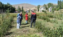Bayburt'ta aronya üretimi yapan çiftçiye ziyaret