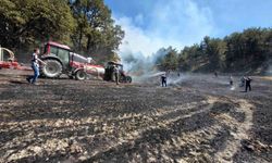 Bolu'da bahçede başlayan yangın ormanlık alana sıçradı