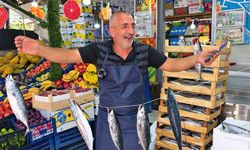 Düzce'de taze balıkları göstermek için hem palamutları oynattı hem kendisi horon oynadı