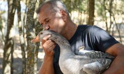 Korona virüs sebebiyle köyüne dönüp kaz çiftliği kurdu!
