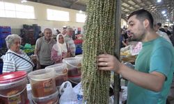 Kuru çiçek bamya pazarda gramla satılıyor!