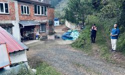 Ordu'da kardeşler arasındaki arazi ve yol kavgası kanlı bitt!