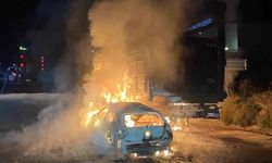 Otomobil ile büyükbaş hayvan yüklü tırın çarpışması sonucu yangın çıktı, 4 hayvan telef oldu!