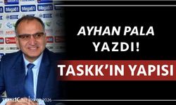TASKK’IN YAPISI