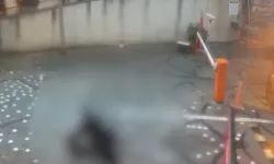 14 YAŞINDAKİ MAHMUT ELEKTRİK KURBANI OLDU!