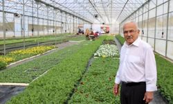 Başkan Güler: 'Kendi çiçeklerimizi üretip, ekonomimize katkı sağlıyoruz'