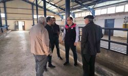 Bayburt'ta yüzde 50 hibe desteğiyle kurulan hayvancılık işletmesi incelendi