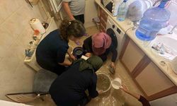 Bolu'da sağanak etkili oldu: 6 daireyi su bastı