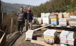 Düzce'de 4 köyde arılı kovan sayımı yapıldı