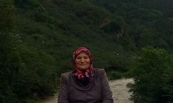 Giresun'da bahçede düşen kişi hayatını kaybetti