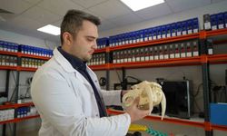 OMÜ'de hayvanların anatomik yapıları üç boyutlu yazıcıyla üretiliyor, eğitimde kullanılıyor