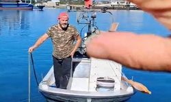 Rizeli çiftin '50 liralık balık' diyaloğu gülümsetti