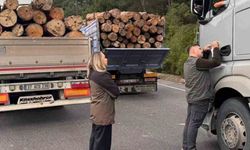 Sinop'ta orman ekipleri yasa dışı faaliyetlere karşı teyakkuzda