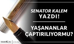 YAŞANANLAR ÇAPTIRILIYORMU?